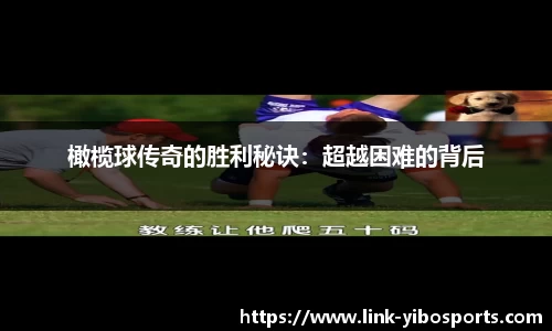 亿博体育官网
